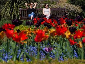 Supporting image for story: Dig out your factor 50, the sun’s on its way