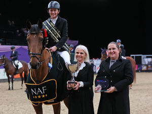 Supporting image for story: Kidderminster's Rachel Hall gets back in the saddle after 36 years