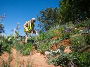 A worker puts finishing touches to planting in sand under a blue sky ahead of Chelsea Flower Show
