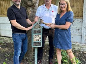 Supporting image for story: Welshpool Impact Rotaract want to create a buzz!