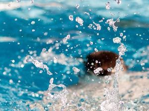 Supporting image for story: Only days left in Dawley swimming pool consultation