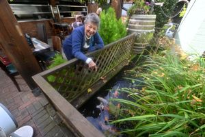 The outside area has a very decorative fish pond