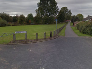 Supporting image for story: Ducks killed in "very callous" attack in Wednesfield