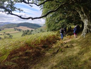 Activities run by Kington Walks volunteers include two popular annual Kington Walking Festivals and a weekly Walking for Health programme 
