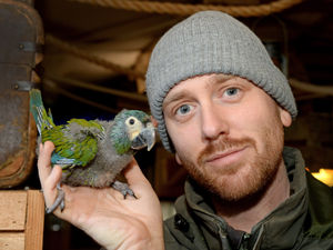 Supporting image for story: Zoo offers an Olive branch to baby macaws