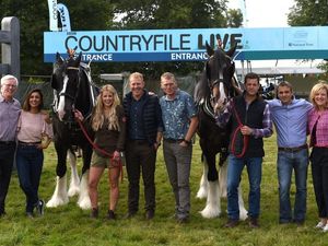 Supporting image for story