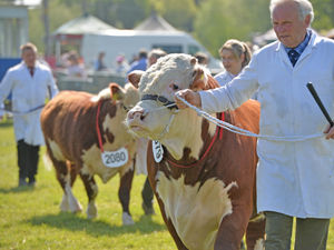 Supporting image for story: Agricultural Society gears up for a busy year in Shropshire