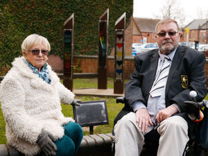 Supporting image for story: Shropshire market town's Covid memorial and other artworks damaged in 'pointless' acts of vandalism