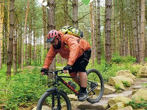 Supporting image for story: How to get to Cannock Chase Forest: Travel info, parking and event listing