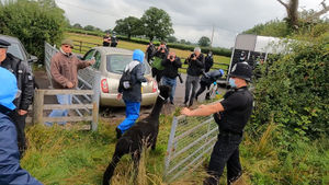 Geronimo the alpaca led away under police guard