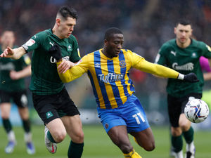 Supporting image for story: Plymouth 1-0 Shrewsbury - Report