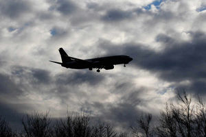 Supporting image for story: Claire Dunn: To fly or not to fly, that is the question for my family