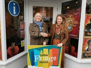 Supporting image for story: 'Not an easy decision': Anita secures future of Ludlow Fringe Festival before stepping down
