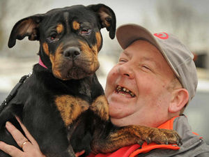 Supporting image for story: Watch: From ditches to riches - New lease of life for abandoned dog