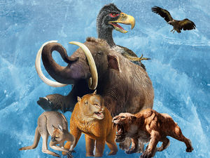 Supporting image for story: Ice Age adventure coming to Birmingham Botanical Gardens