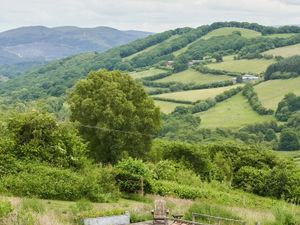 Supporting image for story: Royal Welsh success for the National Garden Scheme and future openings