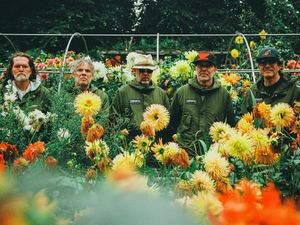 Supporting image for story: Super Furry Animals add extra North Wales date to sold-out tour
