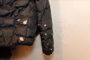 Holes in a jacket which was hanging up, and bullet holes in the wall