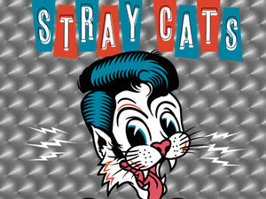 Supporting image for story: Stray Cats, 40 - album review