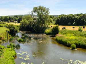 Supporting image for story: Pollution fines of more than £100m will go to environmental projects, Defra says