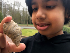 Supporting image for story: Six-year-old Black Country boy digging for worms finds fossil from millions of years ago