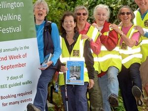 Supporting image for story: Wellington Walking Festival is going ahead 