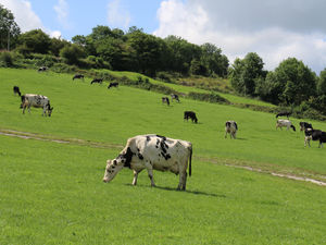 Supporting image for story: Sustainable Farming Scheme will be subject of March meeting
