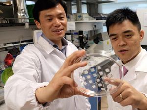 Supporting image for story: Scientists develop a skin patch that could help reduce ‘bulging tummy’ fats