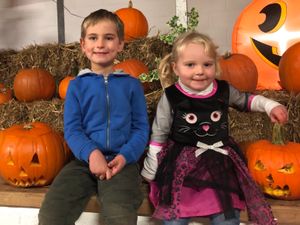 Supporting image for story: Pumpkinfest returns to Oswestry attraction