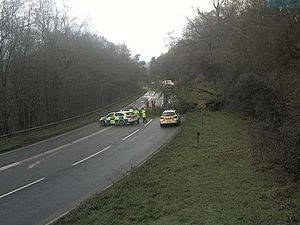 Supporting image for story: Tree blocks busy main road for hours