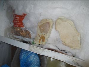 Inside the shed where food was found by inspectors