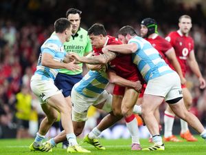 Supporting image for story: Wales fall to heavy Argentina defeat in Steve Tandy’s first match as head coach