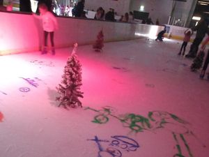 Supporting image for story:  Christmas spectacular as Telford Ice Rink hosts family fun event