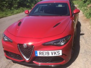 Supporting image for story: Alfa' red hot performer
