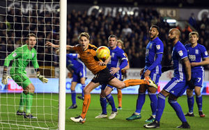 Losing to Blues was a bitter blow for Wolves fans (AMA Sports)