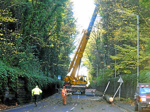 Supporting image for story: Unsafe trees at The Rock, Tettenhall, are given a trim