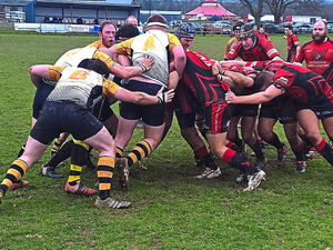 Supporting image for story: Shropshire rugby round-up: Eagles keep up chase as All Blacks march on
