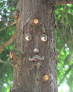 The characters all have different looks and personalities