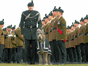 Supporting image for story: Royal Irish Regiment on parade for St Patrick's Day
