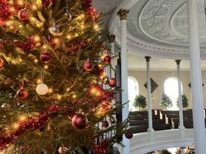 Supporting image for story: 'The Christmas trees are a fabulous spectacle': Shrewsbury church to be 'ablaze with twinkling lights' as festival returns