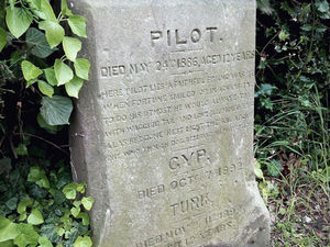 Supporting image for story: Mystery grave of dogs who had their day