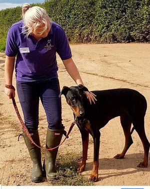 Cheryl with Dobermann, JD