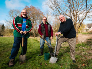 Supporting image for story: Newport High Street to welcome six olive trees