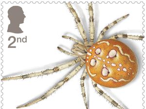 Supporting image for story: Spiders in the spotlight on new Royal Mail stamps