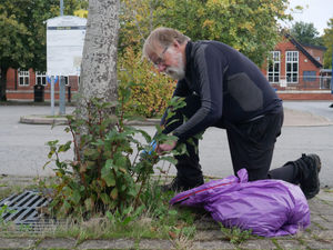 Kington Chamber of Trade treasurer Chris Coates doing some weeding