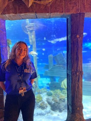 Aquarium manager Naomi Sale-Hancock at Sharkbait Reef at Alton Towers