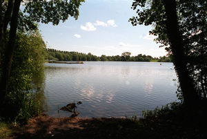Ellesmere is famous for its lakes. Pictured here is Whitemere