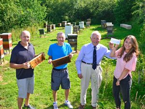 Supporting image for story: Group is buzzing thanks to local firm