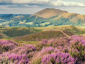 Supporting image for story: Powys County Council leads cross-border initiative to boost visitor economy