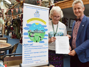 Supporting image for story: Memory walk for charity